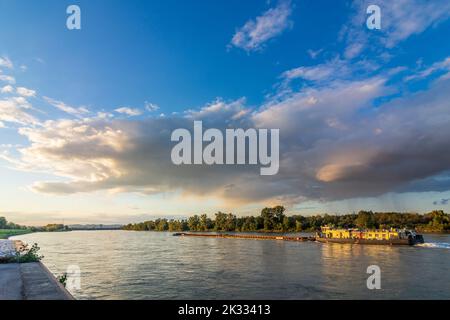 Wien, Wien: Donau, Frachtschiff, Blick auf das Wasserkraftwerk Freudenau im Jahr 11. Simmer, Wien, Österreich Stockfoto