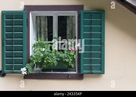 Nahaufnahme der ländlichen rustikalen Hausfassade mit einladenden grünen Rahmen Seitentüren Fenster und blühenden Blumen als Konzept für willkommen zu Hause Gemütlichkeit Stockfoto