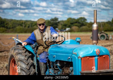 Ein Konkurrent in einem traditionellen landwirtschaftlichen Pflügespiel sitzt auf seinem blauen Vintage-Traktor, während er sein Gebiet auf der Oakhurst Farm in der Nähe von Billingshurst pflügt, 24. September 2022. Pflügespiele sind in ländlichen und landwirtschaftlichen Gemeinden in Großbritannien beliebt und finden jeden Herbst nach Abschluss der Ernte statt. Quelle: Andy Soloman/Alamy Live News Stockfoto