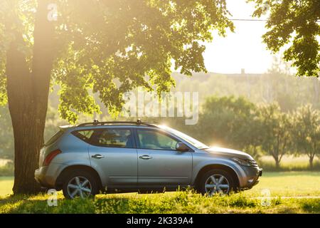 Auto unter einem Baum Stockfoto