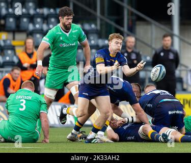 Gareth Simpson von Worcester Warriors spielt beim Gallagher Premiership Spiel Worcester Warriors gegen Newcastle Falcons im Sixways Stadium, Worcester, Großbritannien, 24.. September 2022 (Foto von Nick Browning/News Images) Stockfoto