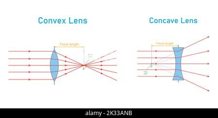 Schematische Darstellung der konvexen und konkaven Linse in der Optikphysik. Stock Vektor