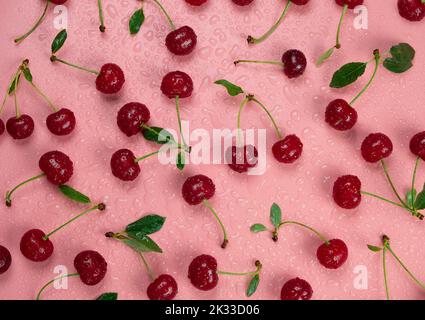 Hintergrund von reifen feuchten Kirschen mit Wassertropfen auf schwarzem Hintergrund mit grünen Blättern aus der Nahaufnahme von oben. Stockfoto