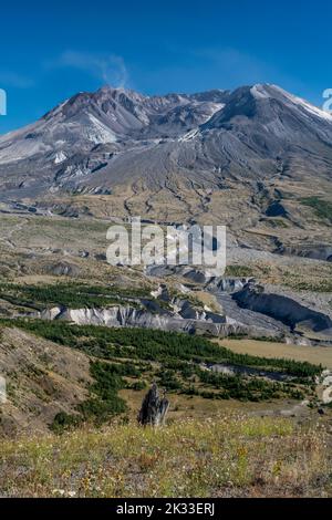 Panoramablick über Mount St. Helens, Skamania County, Washington, USA Stockfoto