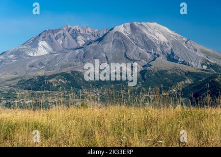 Panoramablick über Mount St. Helens, Skamania County, Washington, USA Stockfoto