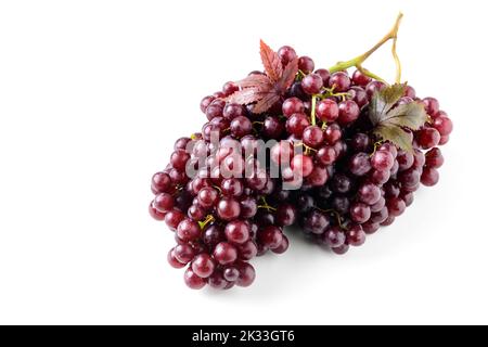 Champagnertrauben isoliert auf weißem Hintergrund.Champagnertrauben sind sehr klein und wachsen in dicht gepackten Trauben. Die kernlosen Beeren sind dunkelrot Stockfoto