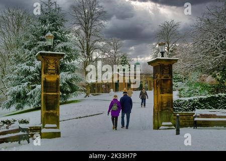 Touristen, die an einem kalten Dezembermorgen durch die Valley Gardens wandern, mit Schnee auf dem Boden und Bäumen, Harrogate, Yorkshire. VEREINIGTES KÖNIGREICH. Stockfoto