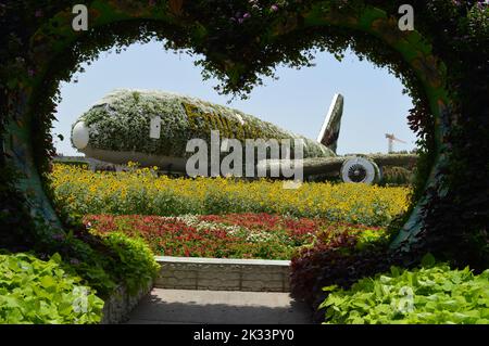 Dubai, VAE. 01. Juni 2022: Eine Skulptur des Emirates Airbus A380 Flugzeug bedeckt mit Blumen im Dubai Miracle Garden. Stockfoto