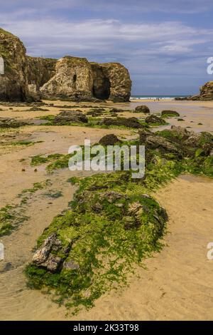 Felsen am Strand von Perranporth in Cornwall. Klippen umgeben diesen Teil des Strandes. Das Foto wurde bei Ebbe aufgenommen, so dass das Meer in der Ferne liegt. Stockfoto