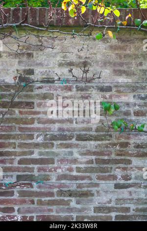 Nahaufnahme der alten Ziegelmauer draußen Stockfoto