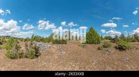 Landschaft der causse mejean im Sommer im nationalpark cevennes. Unesco-Weltkulturerbe. Panorama, Panorama. St. pierre des Tripiers, Aveyron, F Stockfoto