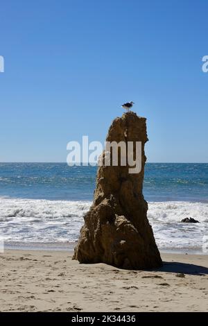 Große Felsformation mit Möwe auf der Spitze Stockfoto