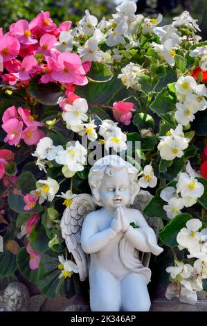 Grab mit Blumenschmuck, Gebetsengel und vielbeschäftigter lizzie (Impatiens walleriana), Allgäu, Bayern, Deutschland Stockfoto