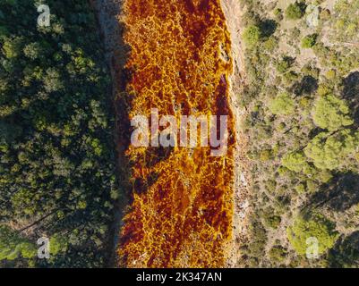 Der Rio Tinto (roter Fluss) fließt durch einen Wald aus Stein- oder Regenschirmkiefern (Pinus pinea), seine tiefe rötliche Färbung ist auf oxidierte Eisenminerale in zurückzuführen Stockfoto