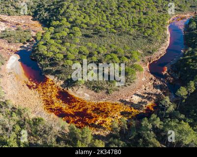 Der Rio Tinto (roter Fluss) fließt durch einen Wald aus Stein- oder Regenschirmkiefern (Pinus pinea), seine tiefe rötliche Färbung ist auf oxidierte Eisenminerale in zurückzuführen Stockfoto