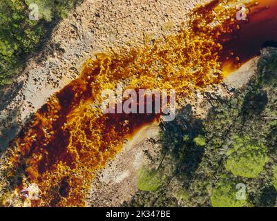 Der Rio Tinto (roter Fluss) fließt durch einen Wald aus Stein- oder Regenschirmkiefern (Pinus pinea), seine tiefe rötliche Färbung ist auf oxidierte Eisenminerale in zurückzuführen Stockfoto