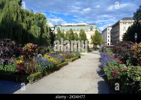 Stockholm, Schweden, September 2022: King's Garden (Kungsträdgården) öffentlicher Park. Stockfoto