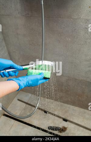 Frau in einem blauen Handschuh reinigt einen Duschkopf von Kalkstein. Nahaufnahme. Stockfoto