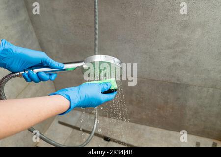 Frau in einem blauen Handschuh reinigt einen Duschkopf von Kalkstein. Nahaufnahme. Stockfoto