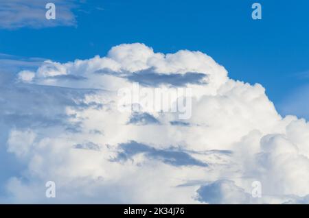 Weiße, flauschige Cumulus-Wolken und blauer Himmel Stockfoto