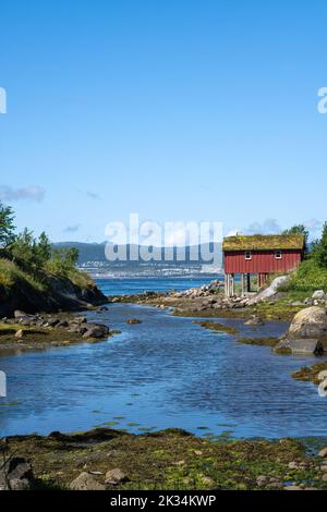 Wunderschöne Landschaften in Norwegen. Nordland. Schöne Landschaft eines roten Hauses auf einem Stelzenhaus mit Gras auf dem Dach. Saltfjorden im Hintergrund. Stockfoto