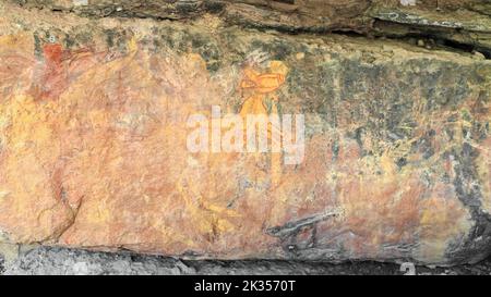 Felskunst der Aborigines: Gelb gefülltes, rot umrissenes Känguru im Röntgenstil in der Anbangbang Gallery. Burrungkuy-Australia-209 Stockfoto