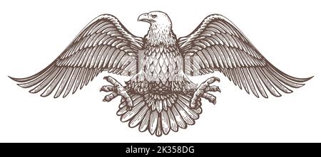 Weißkopfseeadler mit ausgebreiteten Flügeln Emblem. Königliches Symbol. Vektorgrafik. Handgezeichnete Skizze im Vintage-Gravurstil Stock Vektor