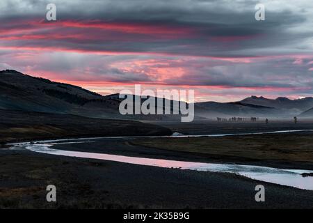 WY05057-00..... WYOMING - Yellowstone National Park, Sonnenaufgang über dem Lamar Valley. Stockfoto