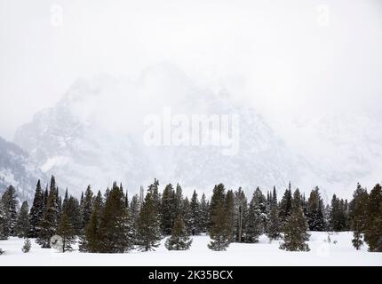 WY05065-00..... WYOMING - Teton Range im Winter, Grand Teton National Park. Stockfoto