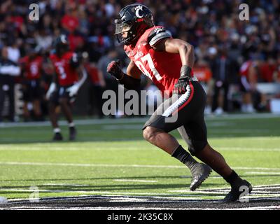 Cincinnati, Ohio, USA. 24. September 2022. Cincinnati Bearcats DL Eric Phillips während eines NCAA-Fußballspiels zwischen den Cincinnati Bearcats und den Indiana Hoosiers im Nippert Stadium in Cincinnati, Ohio. Kevin Schultz/CSM/Alamy Live News Stockfoto