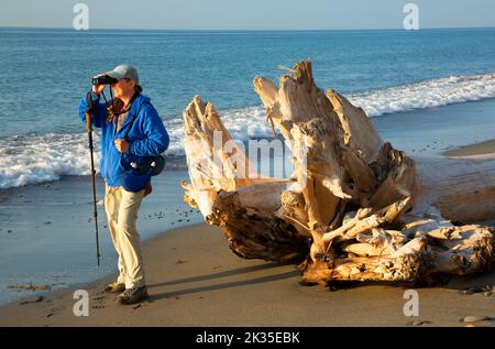 Wanderer am Strand, Dungeness National Wildlife Refuge, Washington Stockfoto