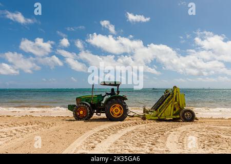 07.24.2022. Dominikanische Republik Bavaro Punta cana Provinzen La Altagracia. Algen am Strand. Algensargassum. Karibisches Umweltproblem. Stockfoto