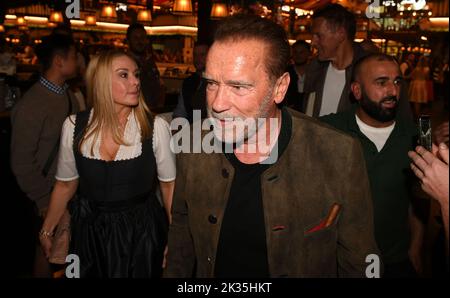 München, Deutschland. 24. September 2022. Schauspieler Arnold Schwarzenegger spaziert beim Oktoberfest durch das Festzelt Marstall. Die Wiesn findet vom 17. September bis 3. Oktober 2022 statt. Quelle: Felix Hörhager/dpa/Alamy Live News Stockfoto