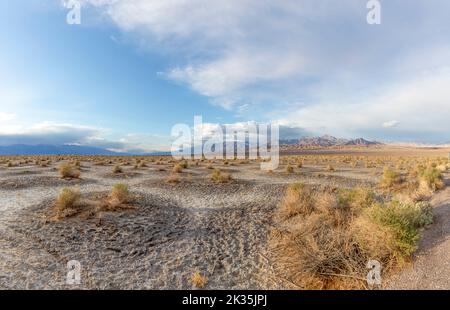 Wunderschöne Mesquite-Wohnungen in der Death Valley Wüste im Sonnenuntergang, USA Stockfoto