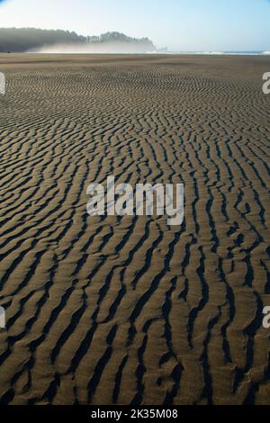 Zweiten Strand, Olympic Nationalpark, Washington Stockfoto