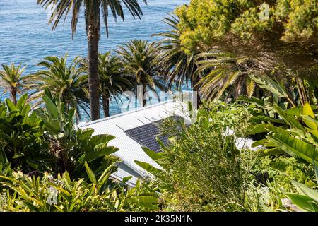 Sonnenkollektoren auf einem kleinen Hausdach Palm Beach in Sydney, mit dem Ozean unten und großen tropischen Pflanzen und Palmen rund um die Sonnenkollektoren Stockfoto