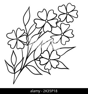 Handgezeichnete Illustration von Blüten Blätter Zweig in schwarzer Linie Umriss. Minimalistisches florales Gartendesign, Blüte für Karteneinladungen, elehantes Laubpflanzenkonzept Stockfoto