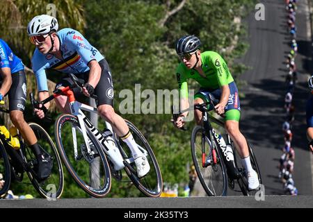 Der Belgier Stan Dewulf und der Slowene Tadej Pogacar wurden während des Elite-Straßenrennens der Männer bei den UCI Road World Championships Cycling 2022 in Wollongong, Australien, am Sonntag, den 25. September 2022, in Aktion gezeigt. Die Worlds finden vom 18. Bis 25. September statt. BELGA FOTO DIRK WAEM Stockfoto