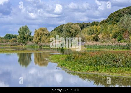 Vogelbeobachtung Vogelversteck / Vogelblind auf der Réserve ornithologique Baie de Somme Grand-Laviers, Hauts-de-France, Somme, Frankreich Stockfoto