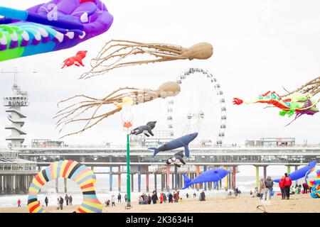 Den Haag, Niederlande. 24. September 2022. Drachen schweben am 24. September 2022 während eines Drachenfestivals in Den Haag, Niederlande, über dem Strand. Quelle: Sylvia Lederer/Xinhua/Alamy Live News Stockfoto