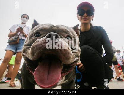 Pasig City, Philippinen. 25. September 2022. Eine Frau wird mit ihrem Hund während des „Run fur Life“-Marathons in Pasig City, Philippinen, am 25. September 2022 gesehen. Die „Run fur Life“ ist eine Spendenaktion für misshandelte, verlassene und obdachlose Hunde und zielt auch darauf ab, das Wohlergehen der Tiere und den verantwortungsvollen Besitz von Haustieren zu fördern. Quelle: Rouelle Umali/Xinhua/Alamy Live News Stockfoto