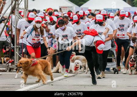 Pasig City, Philippinen. 25. September 2022. Ein Mann wird von seinem Laufhund während des „Run fur Life“-Marathons in Pasig City, Philippinen, am 25. September 2022, geschleppt. Die „Run fur Life“ ist eine Spendenaktion für misshandelte, verlassene und obdachlose Hunde und zielt auch darauf ab, das Wohlergehen der Tiere und den verantwortungsvollen Besitz von Haustieren zu fördern. Quelle: Rouelle Umali/Xinhua/Alamy Live News Stockfoto