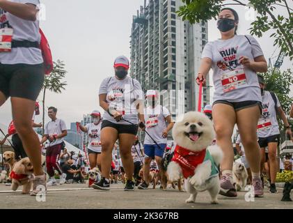 Pasig City, Philippinen. 25. September 2022. Hunde laufen mit ihren Besitzern während des „Run fur Life“-Marathons in Pasig City, Philippinen, 25. September 2022. Die „Run fur Life“ ist eine Spendenaktion für misshandelte, verlassene und obdachlose Hunde und zielt auch darauf ab, das Wohlergehen der Tiere und den verantwortungsvollen Besitz von Haustieren zu fördern. Quelle: Rouelle Umali/Xinhua/Alamy Live News Stockfoto