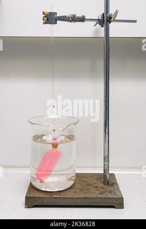 Hausgemachtes Osmometer, in das ein mit Lösung gefülltes Dialyseröhrchen in ein Glas Wasser gegeben wird. Experiment in der Biologie Klasse demonstrieren das Prinzip der Stockfoto