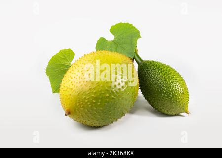 Stacheliger Bitter Gourd, süßer Gourd oder Cochinchin Gourd auf weißem Hintergrund. Momordica cochinchinensis. Stockfoto