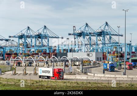 Rotterdam, Niederlande, 12. September 2022: Landseite eines der Containerterminals auf dem Industriegebiet Maasvlakte Stockfoto