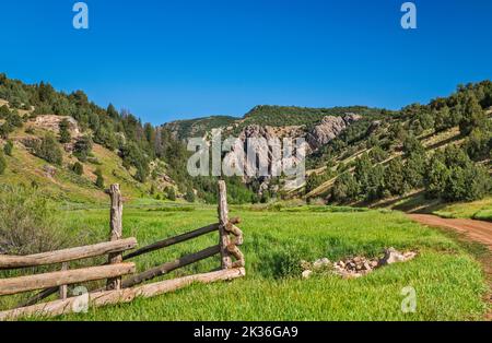 Rees Valley, Reddick Canyon in der Ferne, Chicken Creek Road, FR 101, San Pitch Mountains, Uinta National Forest, Utah, USA Stockfoto
