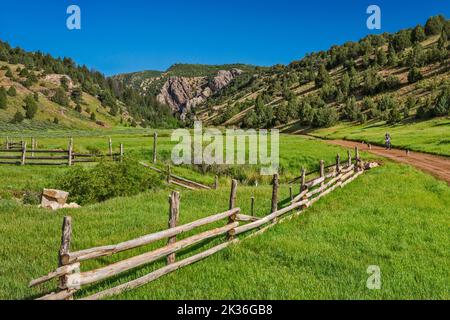 Rees Valley, Reddick Canyon in der Ferne, Chicken Creek Road, FR 101, San Pitch Mountains, Uinta National Forest, Utah, USA Stockfoto