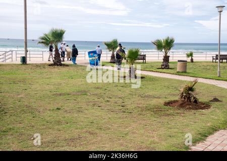 Strandpromenade entlang des parkway, der zum Meer führt, mit dem Ozean im Hintergrund und wachsenden kurzen Palmen Stockfoto