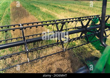 Rolle des modernen Mähdreschers von der Fahrerkabine aus gesehen. Ernteprozess für Raps. Außenaufnahme. Landwirtschaftliche Maschinen. Hochwertige Fotos Stockfoto